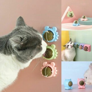 Catnip